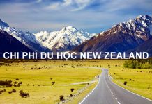 Chi phí du học New Zealand 2020 tùy thuộc vào nhiều yếu tố